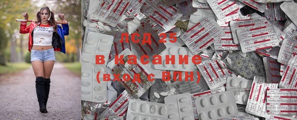 амф Зерноград