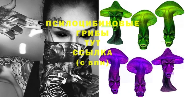 прущие крисы Алексин