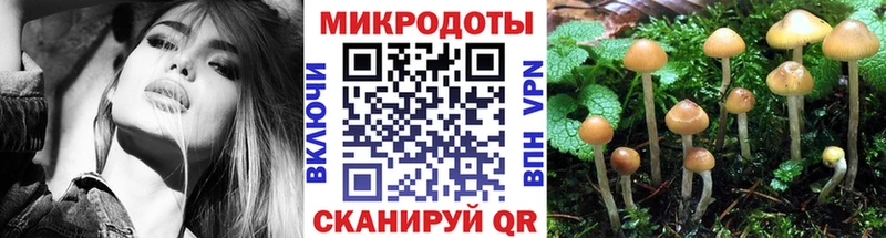 Галлюциногенные грибы Psilocybine cubensis  Удачный 